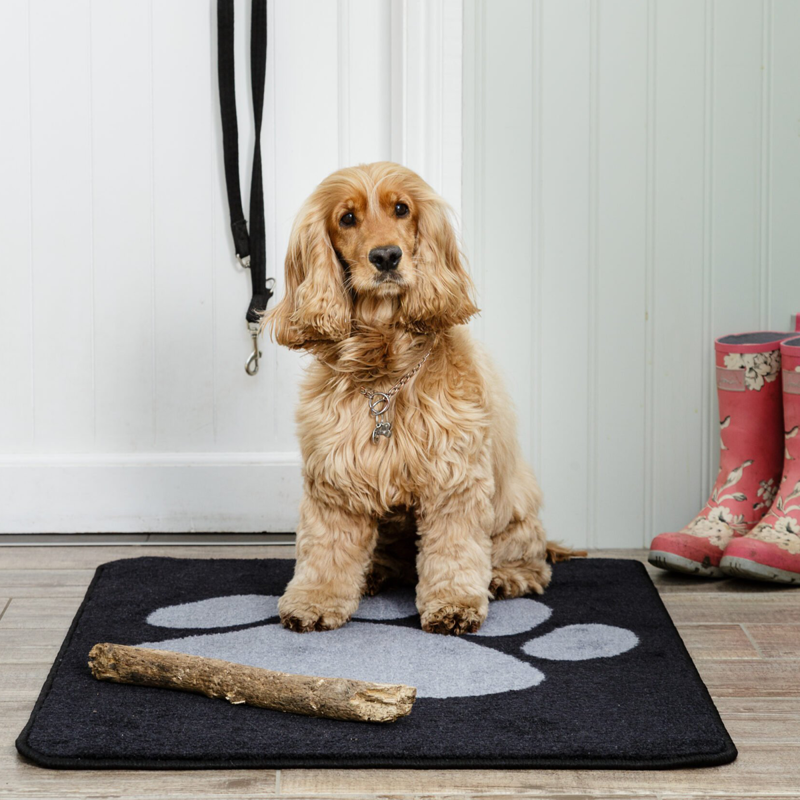 Pet Rebellion Boot Mate - Black-1